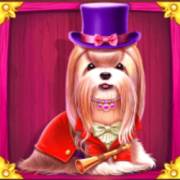 The Dog House – Royal Hunt: Shih Tzu