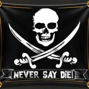 The Goonies: Hey You Guys!: Bandera