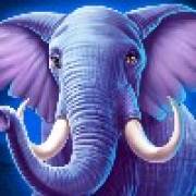 The Ultimate 5: Elefante