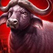 The Ultimate 5: Búfalo