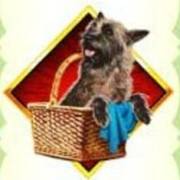 The Wizard of Oz: Totoshka