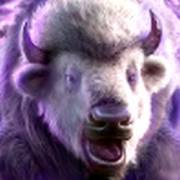 Thundering Buffalo: Jackpot Dash: búfalo