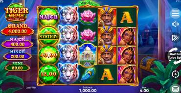 Tiger Gems: Hold and Win: Máquina tragaperras