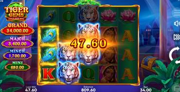Tiger Gems: Hold and Win: Ganancias