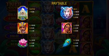 Tiger Gems: Hold and Win: Tabla de pagos