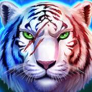 Tiger Gems: Hold and Win: Salvaje