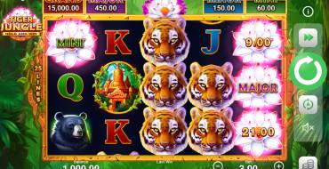 Tiger Jungle Hold and Win: Máquina tragaperras