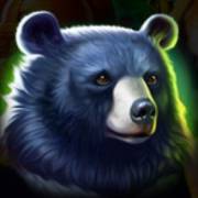 Tiger Jungle Hold and Win: Oso