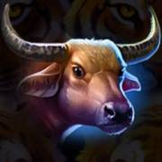 Tiger Jungle Hold and Win: búfalo