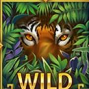 Tiger Tiger: Salvaje