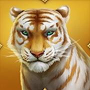 Tiger Tiger: Tigresa
