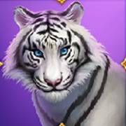 Tiger Tiger: Leopardo