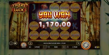 Tiger's Luck Hold&Win: Ganancias