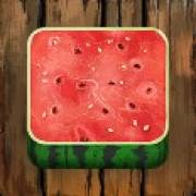 Tiki Runner 2 - Doublemax: Sandía