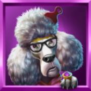 Top Dawgs: Caniche