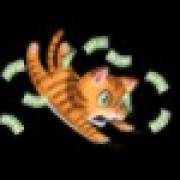 Twister Wilds: Gato