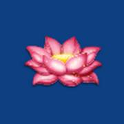 Ultra Blazing Fire Link: Flor