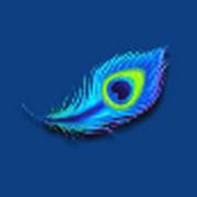 Ultra Blazing Fire Link: Pluma