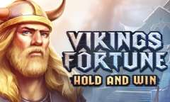 Jugar Viking Fortune: Hold and Win