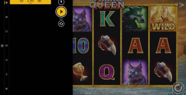 Viking Queen: La apuesta