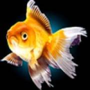 Water Tiger: Pescado