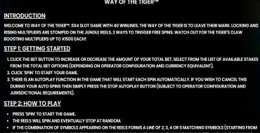 Way of the Tiger: Reglas