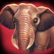 Way of the Tiger: Elefante