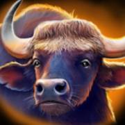 Way of the Tiger: Búfalo