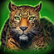Way of the Tiger: Leopardo
