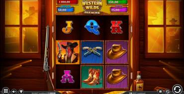 Western Wilds Hold & Win: Interfaz