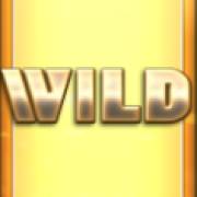 Wheel of Fortune Megaways: Salvaje