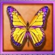 White Orchid: Mariposa