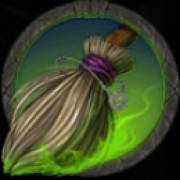 Wicked Witch: Símbolo de la escoba