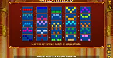 Wild Anubis: Reglas