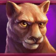 Wild Buffalo: Tigre