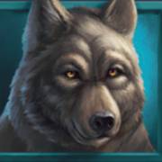 Wild Buffalo: Lobo