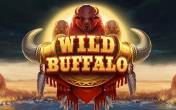 Wild Buffalo