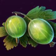 Wild Cherry Blast: Grosella espinosa