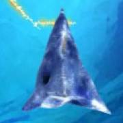 Wild Crystal Arrows: Diamantes