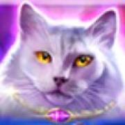 Wild Hearts: Gato