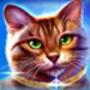 Wild Hearts: Gato