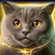 Wild Hearts: Gato esponjoso