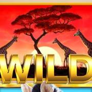 Wild Herd: Salvaje