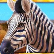 Wild Herd: Cebra