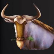 Wild Herd: Búfalo