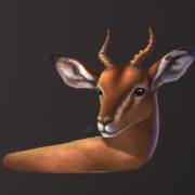 Wild Herd: Antílope