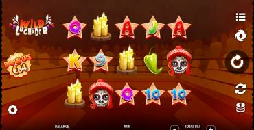 Wild Luchador: Tema