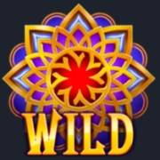 Wild Overlords: Salvaje
