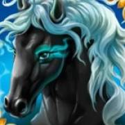 Wild Overlords: Caballo