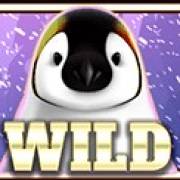 Wild Penguin: Salvaje